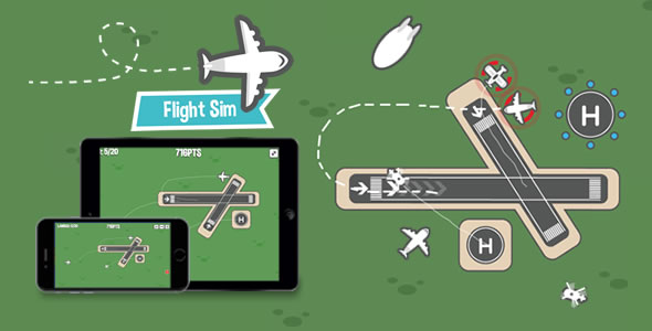 Flight Sim